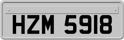 HZM5918