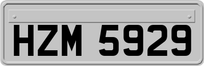 HZM5929