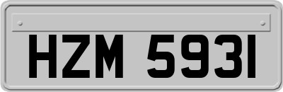 HZM5931