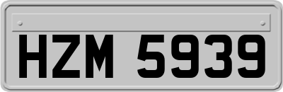 HZM5939