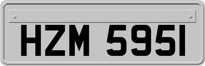 HZM5951