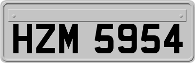 HZM5954