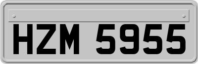 HZM5955