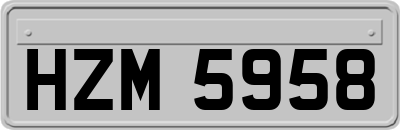 HZM5958