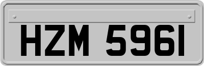HZM5961
