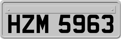HZM5963