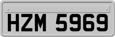 HZM5969