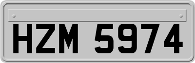 HZM5974