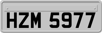 HZM5977