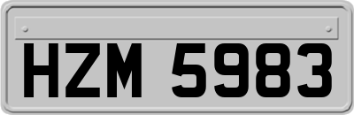 HZM5983