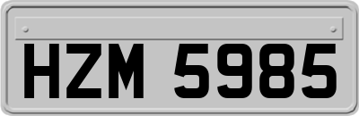 HZM5985