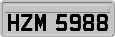 HZM5988