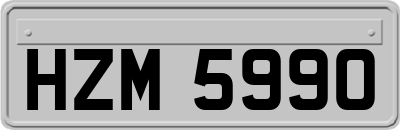 HZM5990