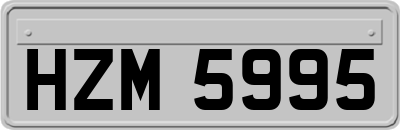 HZM5995