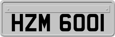 HZM6001