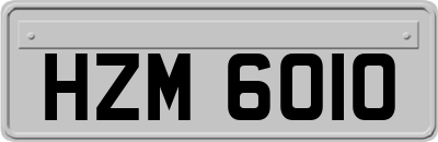HZM6010