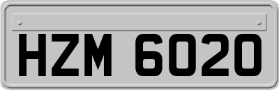 HZM6020