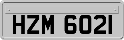 HZM6021