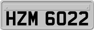 HZM6022