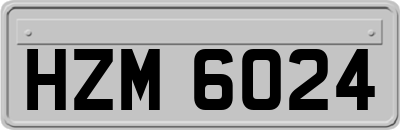 HZM6024