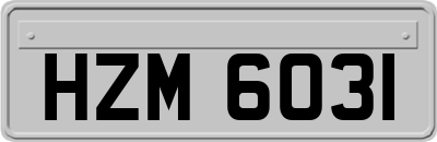 HZM6031