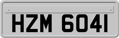 HZM6041
