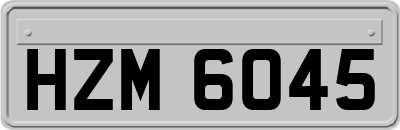 HZM6045