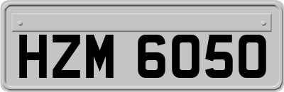 HZM6050