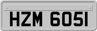 HZM6051