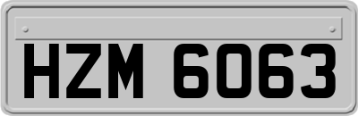 HZM6063