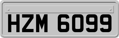 HZM6099