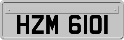 HZM6101