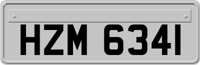 HZM6341