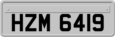 HZM6419