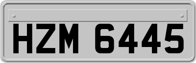 HZM6445