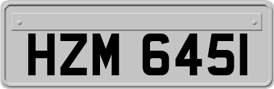 HZM6451