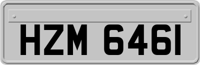 HZM6461