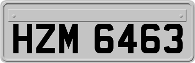 HZM6463
