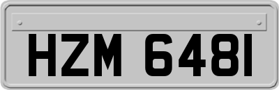 HZM6481