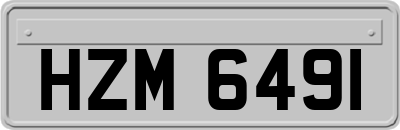 HZM6491