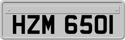 HZM6501