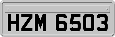 HZM6503