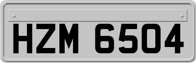 HZM6504