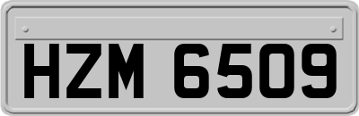 HZM6509