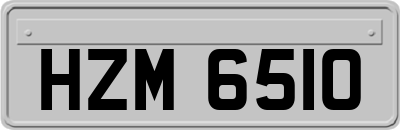 HZM6510