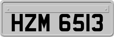 HZM6513