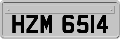 HZM6514