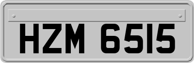 HZM6515