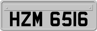 HZM6516