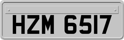 HZM6517